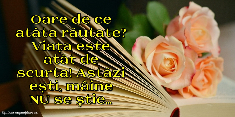 Oare de ce atâta răutate?