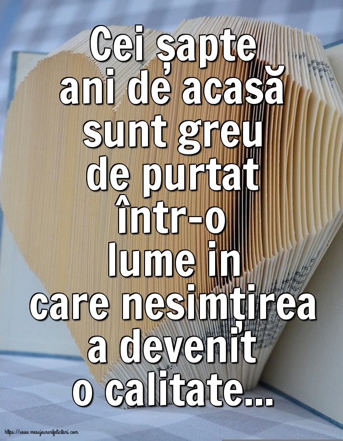 Cei șapte ani de acasă