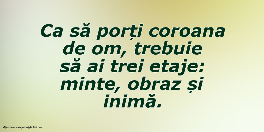 Ca să porți coroana de om, trebuie să ai trei etaje: minte, obraz și inimă.