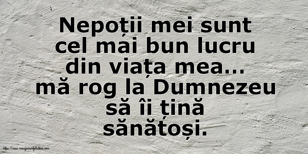 Nepoții mei sunt cel mai bun lucru din viața mea…