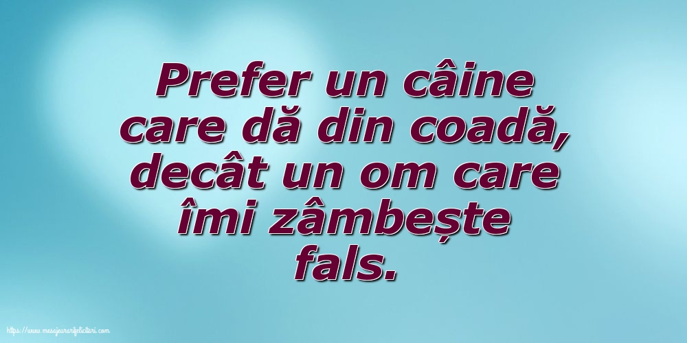 Prefer un câine care dă din coadă
