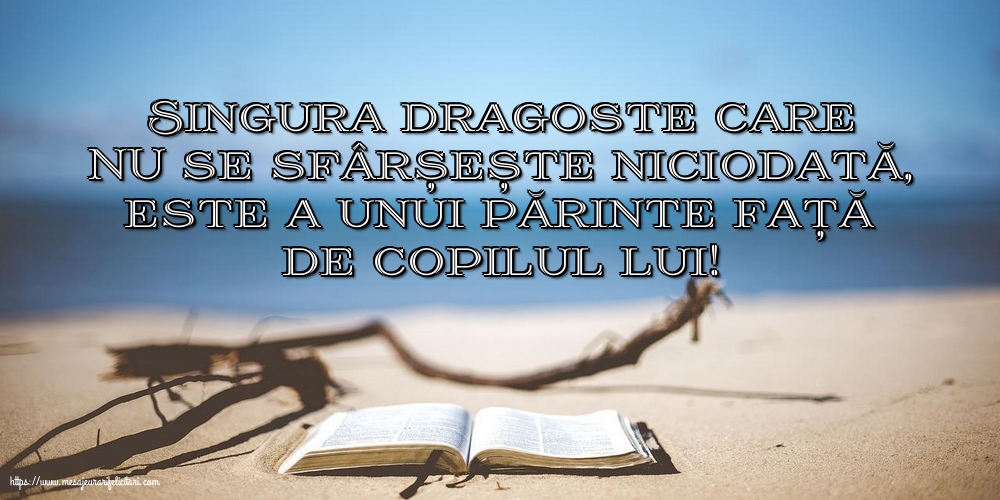 Singura dragoste