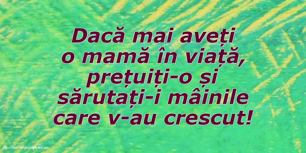 Dacă mai aveți o mamă în viață...