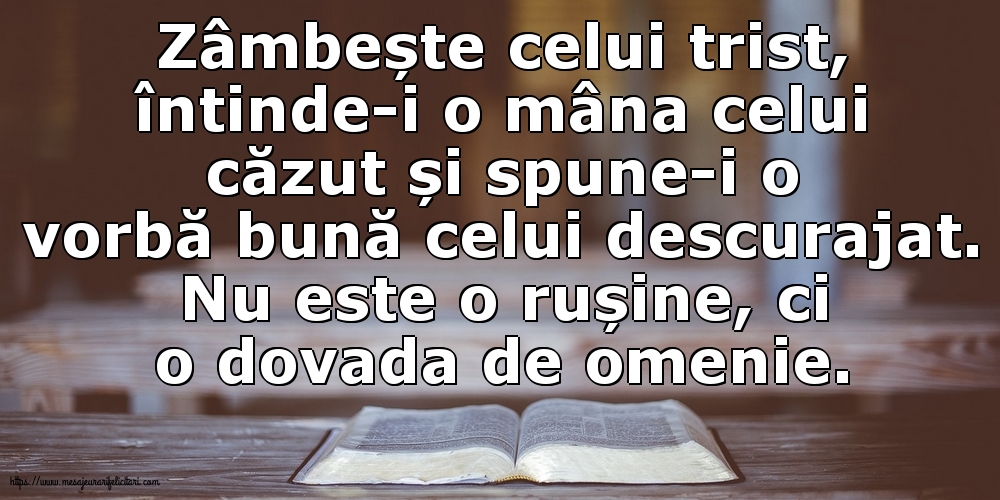 Zâmbește celui trist, întinde-i o mâna celui căzut... Nu este o rușine, ci o dovada de omenie.