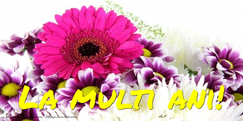 La multi ani!