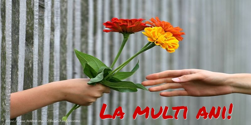 La multi ani!