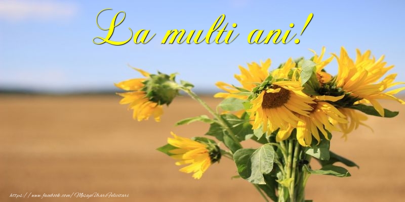 Felicitari cu flori - La multi ani! - mesajeurarifelicitari.com