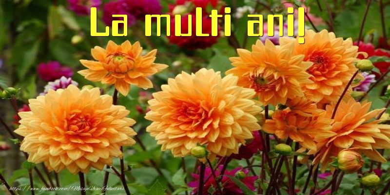 La multi ani!