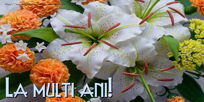 La multi ani!
