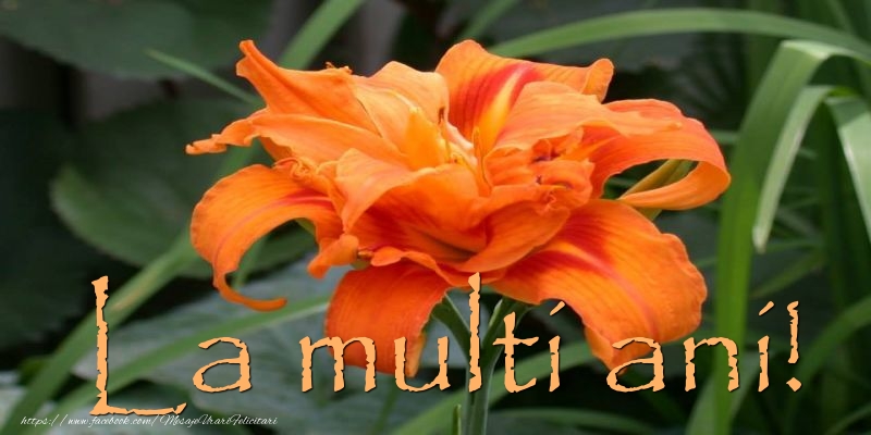 La multi ani!