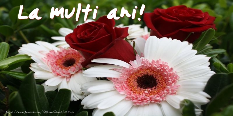 La multi ani!