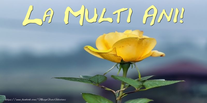 Felicitari cu flori - La Multi Ani! - mesajeurarifelicitari.com