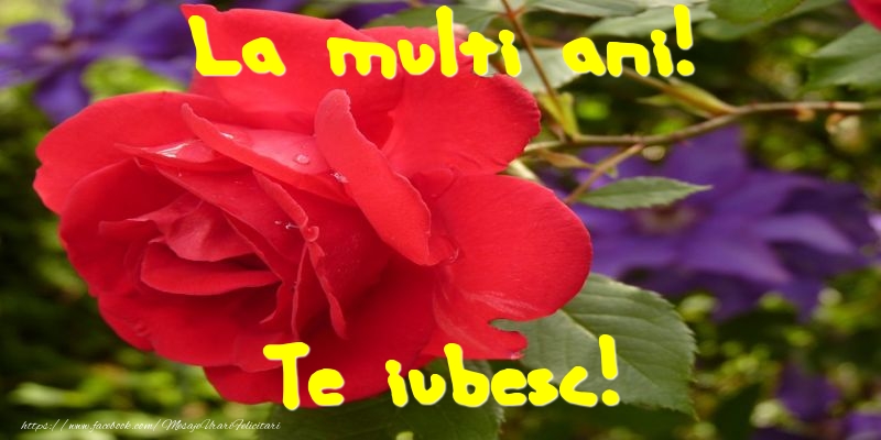 La multi ani! Te iubesc!
