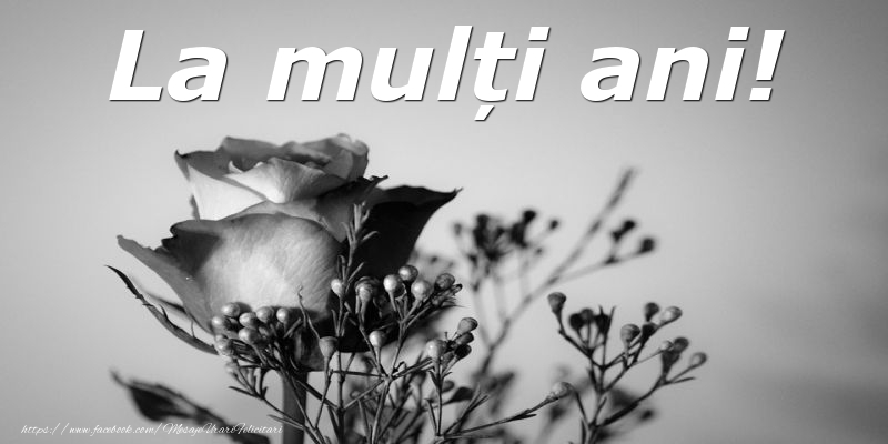 La mulți ani!