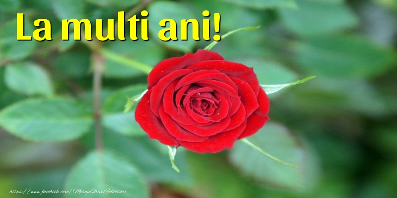 La multi ani!