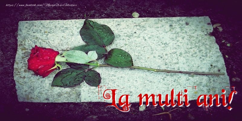 La multi ani!