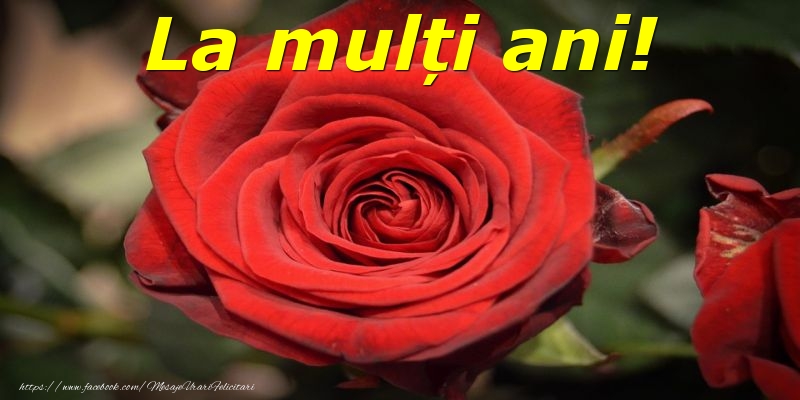 La mulți ani!