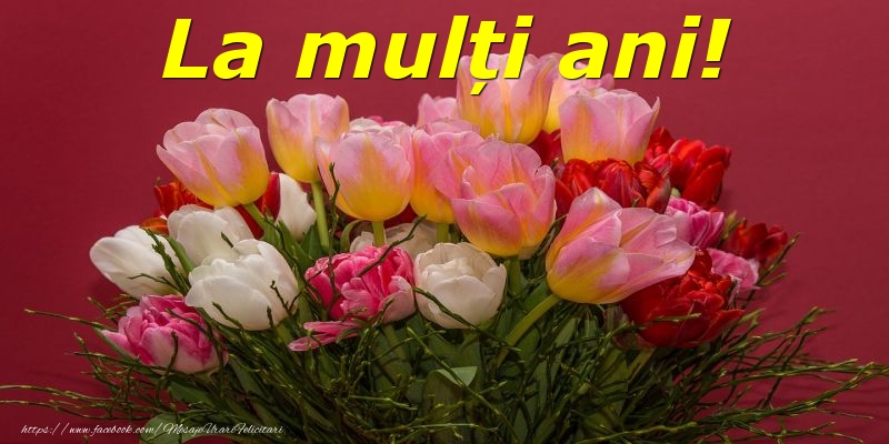 Felicitari Cu Flori Mesajeurarifelicitari Com