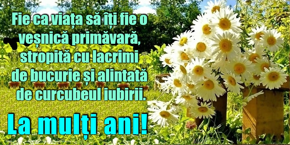 La mulți ani!