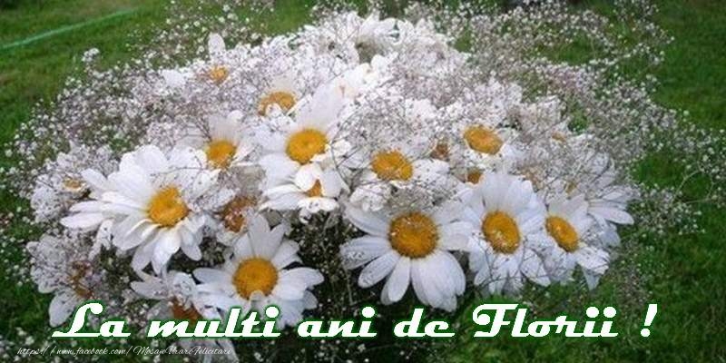 La multi ani de Florii!