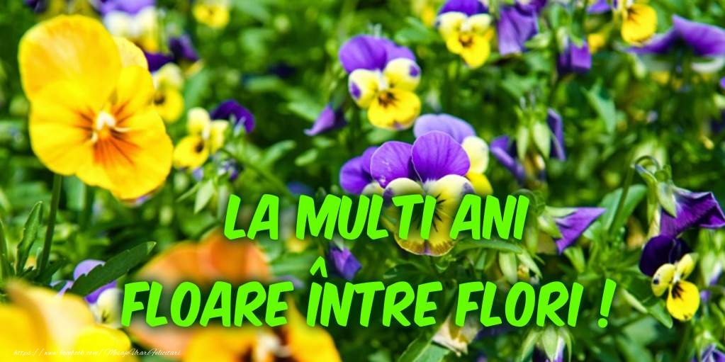 La multi ani de Florii!