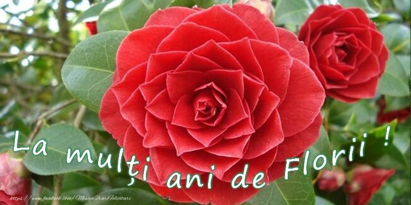 La multi ani de Florii!