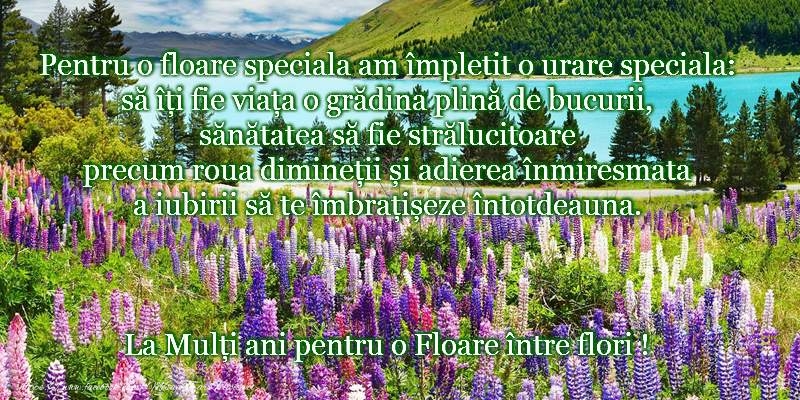 La multi ani de Florii!