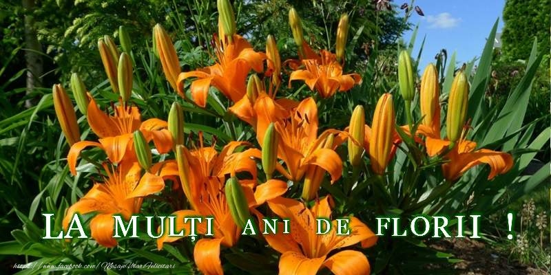 La multi ani de Florii!