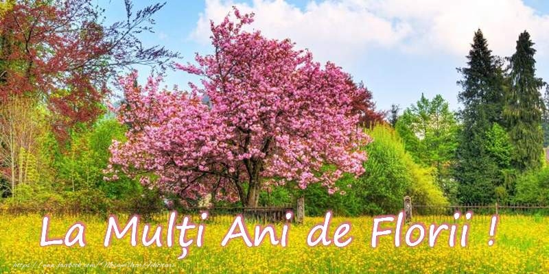 La multi ani de Florii!