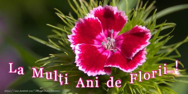 Felicitari de Florii - La multi ani de Florii! - mesajeurarifelicitari.com