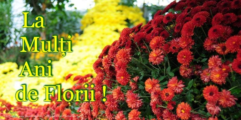 La multi ani de Florii!