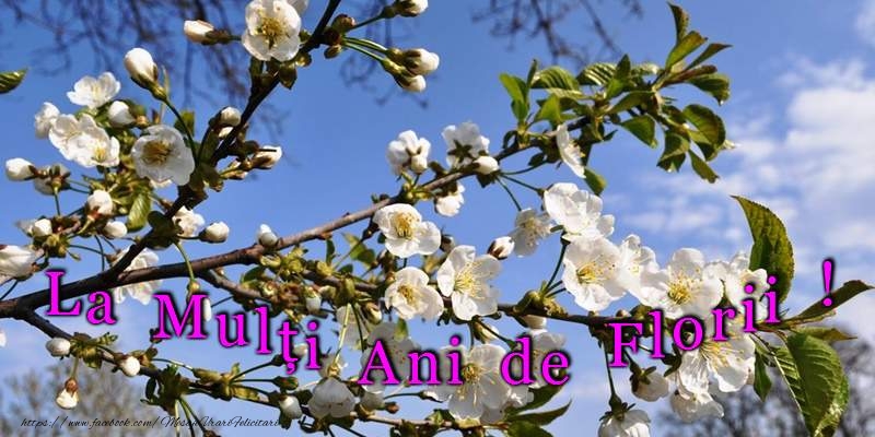La multi ani de Florii!