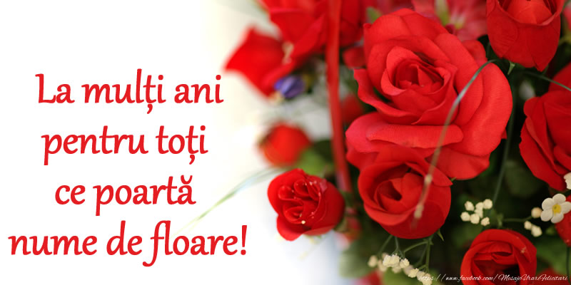 Felicitari de Florii - La mulți ani pentru toți ce poartă nume de floare! - mesajeurarifelicitari.com
