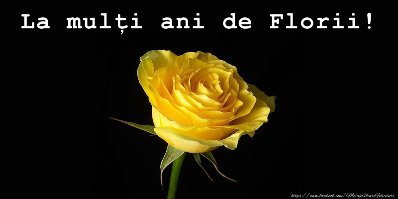 Felicitari de Florii - La mulți ani de Florii! - mesajeurarifelicitari.com
