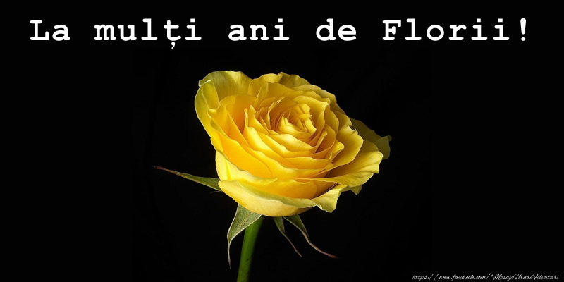 La mulți ani de Florii!