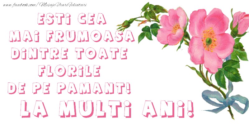 Esti cea mai frumoasa dintre toate florile de pe Pamant! La Multi Ani!