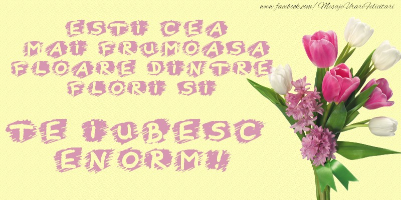 Esti cea mai frumoasa floare dintre flori si te iubesc enorm!