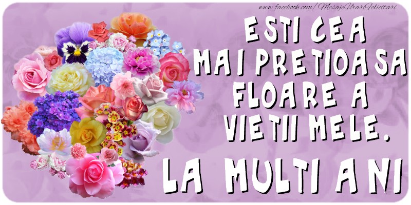 Esti cea mai pretioasa floare a vietii mele