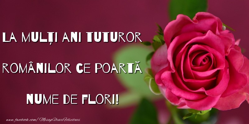 Felicitari de Florii - La mulți ani tuturor românilor - mesajeurarifelicitari.com
