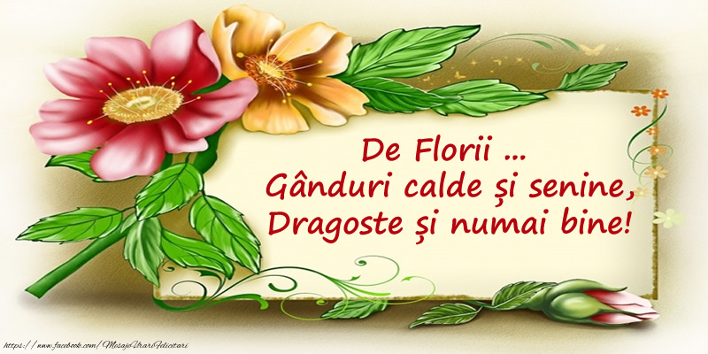 De Florii ...  Gânduri calde și senine, Dragoste și numai bine!