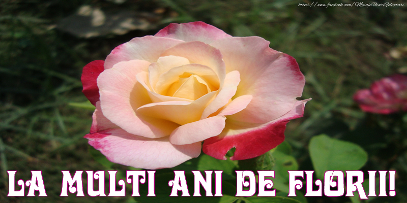 La Multi Ani de Florii!