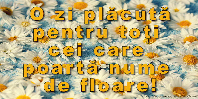 O zi plăcută pentru toți cei care poartă nume de floare!