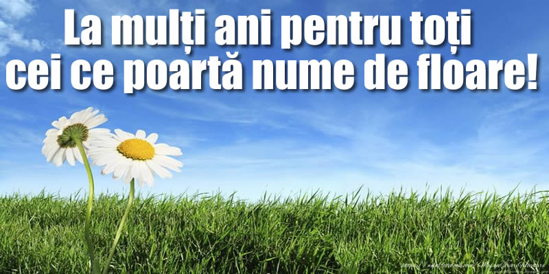 La mulți ani pentru toți cei ce poartă nume de floare!