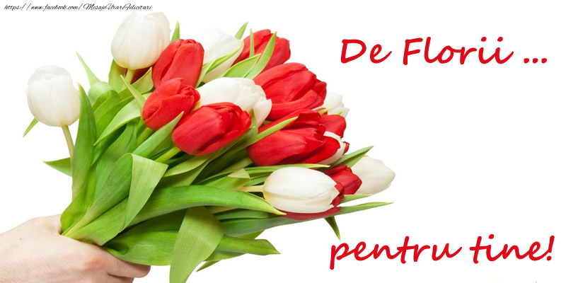 Felicitari de Florii - De Florii ... pentru tine! - mesajeurarifelicitari.com