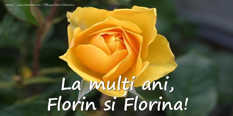 La multi ani, Florin si Florina!