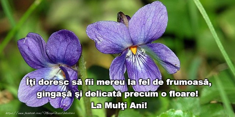 La Multi Ani de Florii!