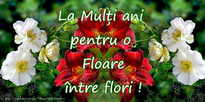 La Multi Ani de Florii!