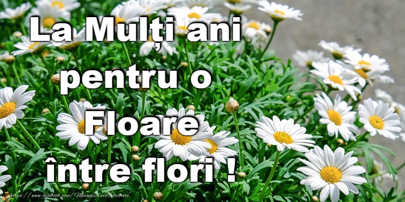 La Multi Ani de Florii!