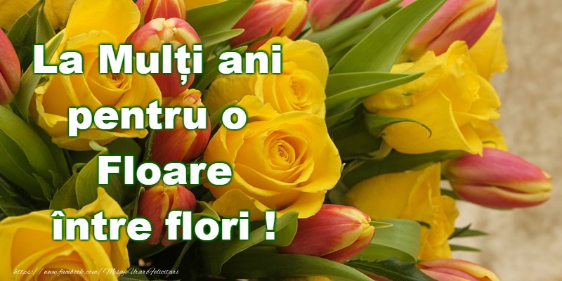 Felicitari de Florii - La Multi Ani de Florii! - mesajeurarifelicitari.com
