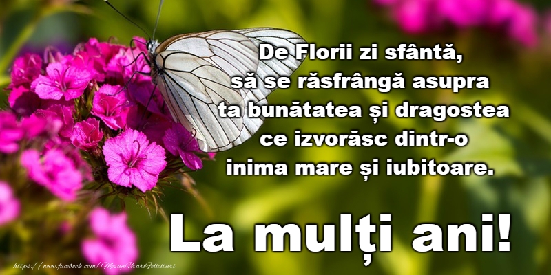 La Multi Ani de Florii!